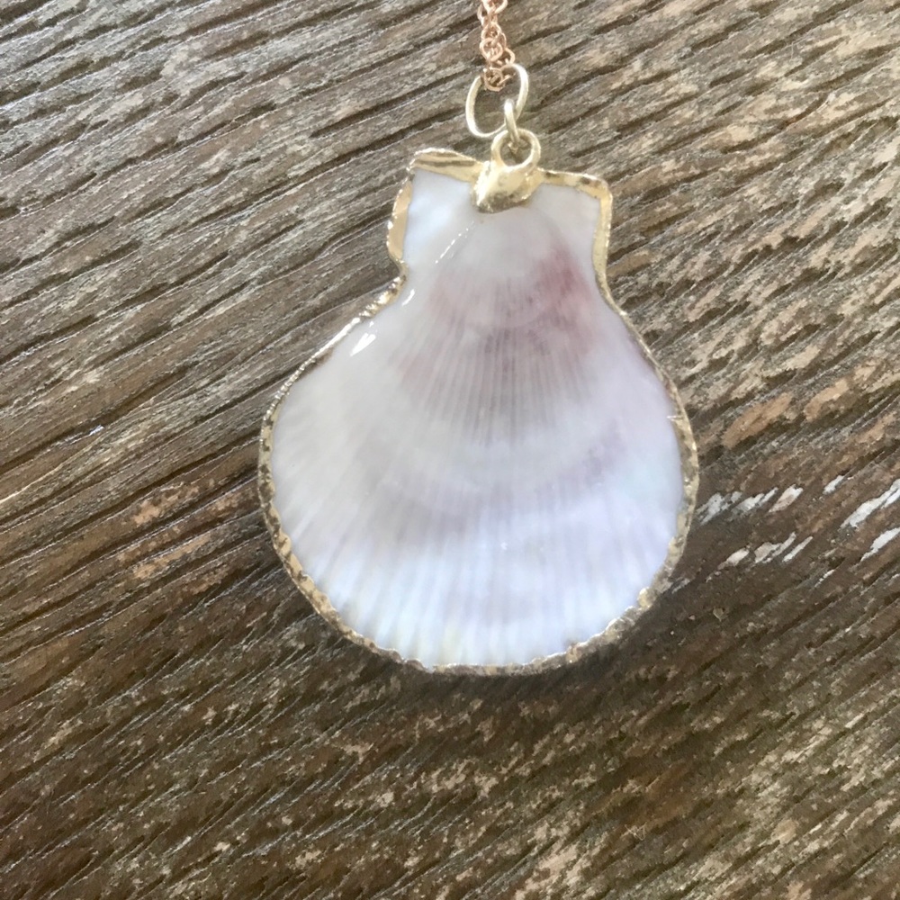 NWT Sea Shell Pendant - Picture 2 of 3